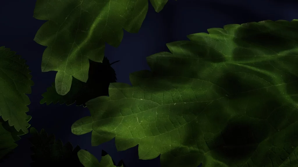 J-höm; Masculine Fragrance Masaki Paris Parfums